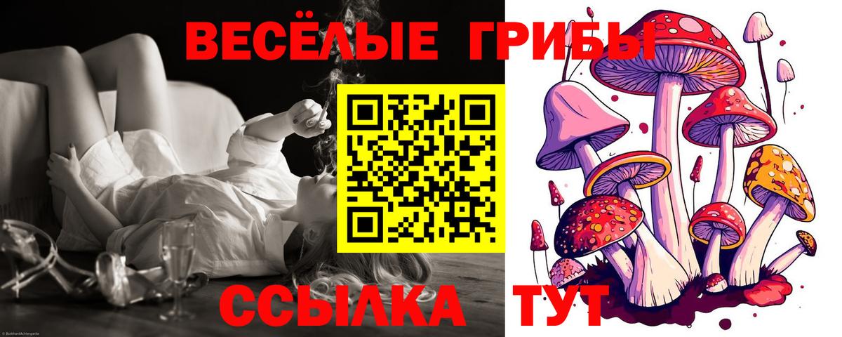 Псилоцибиновые грибы мухоморы Соликамск
